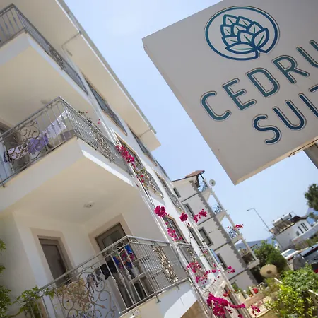 Ξενοδοχείο με διαμερίσματα Cedrus Κας